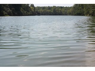 Property photo 79 - 419 +/- Acres offered in 6 Tracts, Land Auction